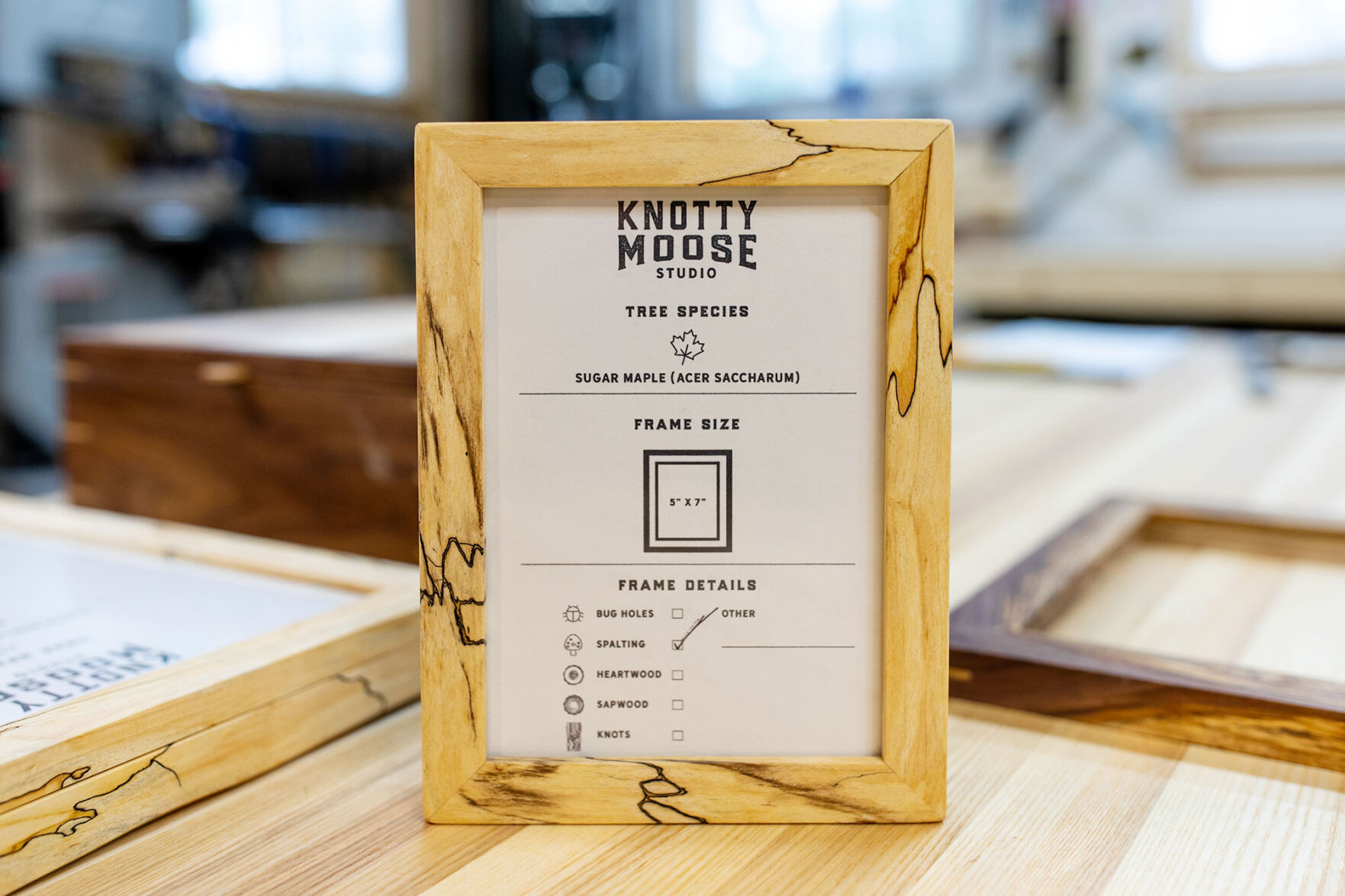 Knotty-Moose-frames.jpg